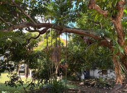 Tanjong Rhu Road (D15),  #538596941
